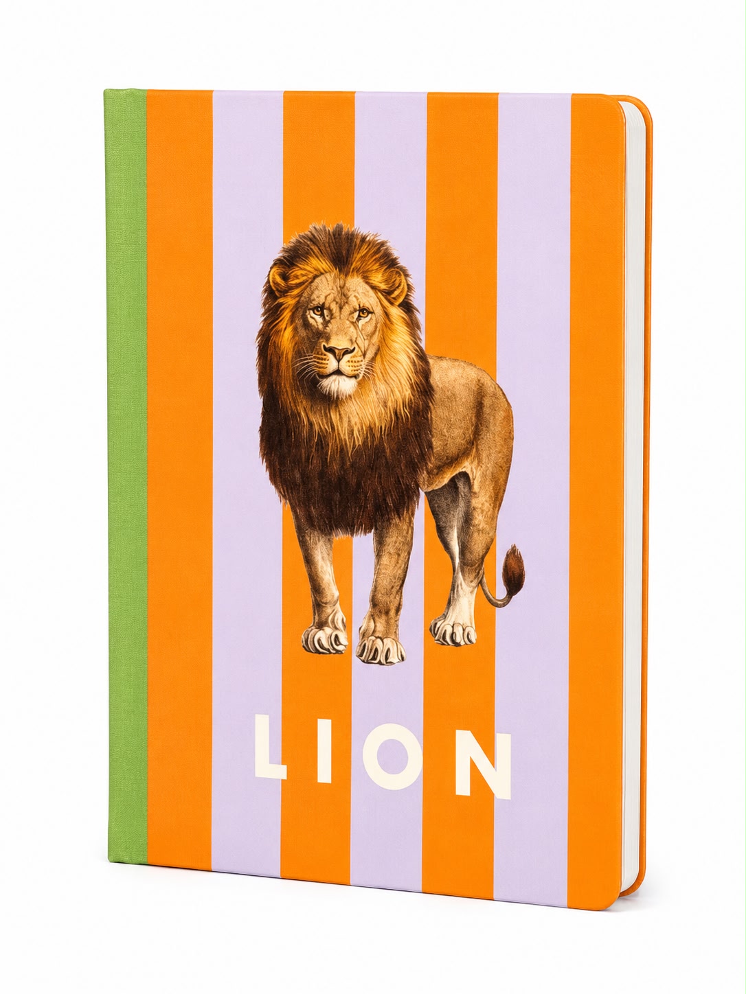 Vibrant notebook for everyday creativity and ideasT