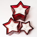 Princess of the night Scented Candle